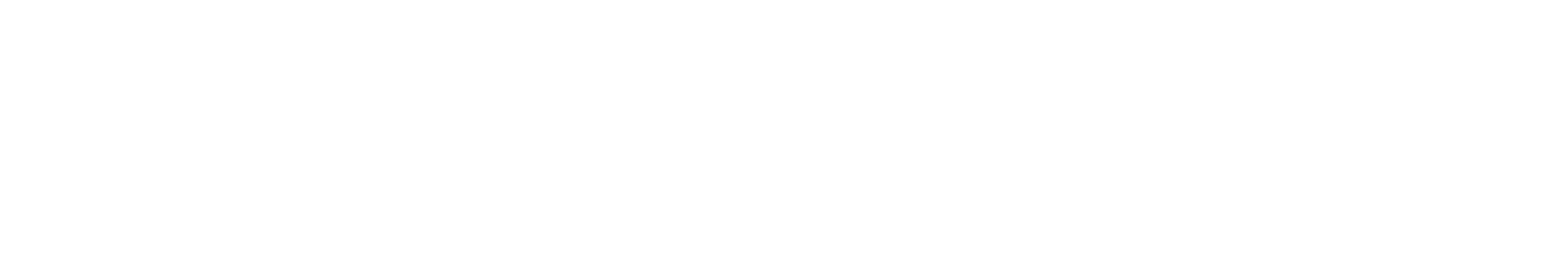 ZIBS Logo